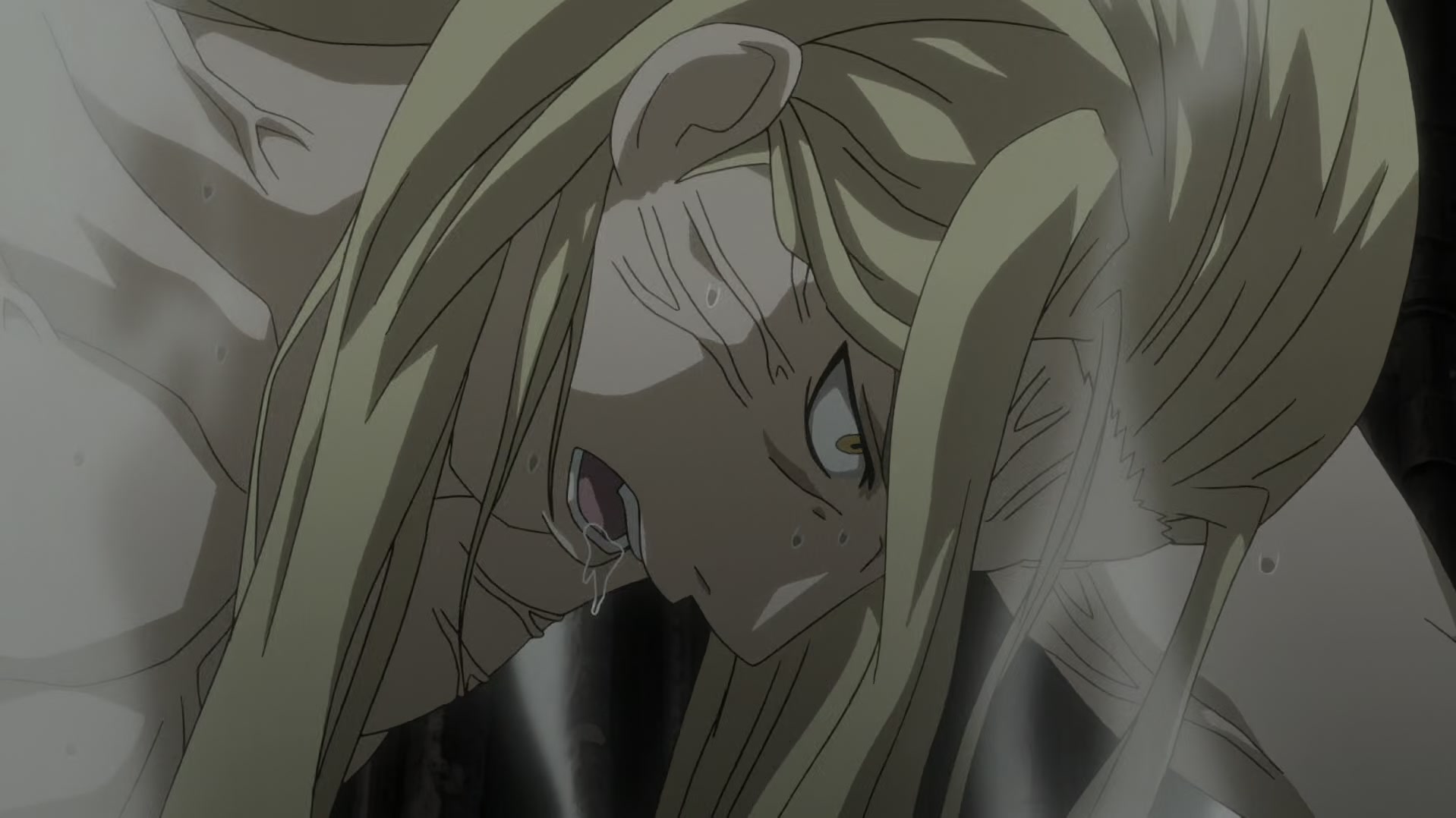 Fullmetal Alchemist: Brotherhood Ep 61: He Who Would Swallow God @ 00:06:53