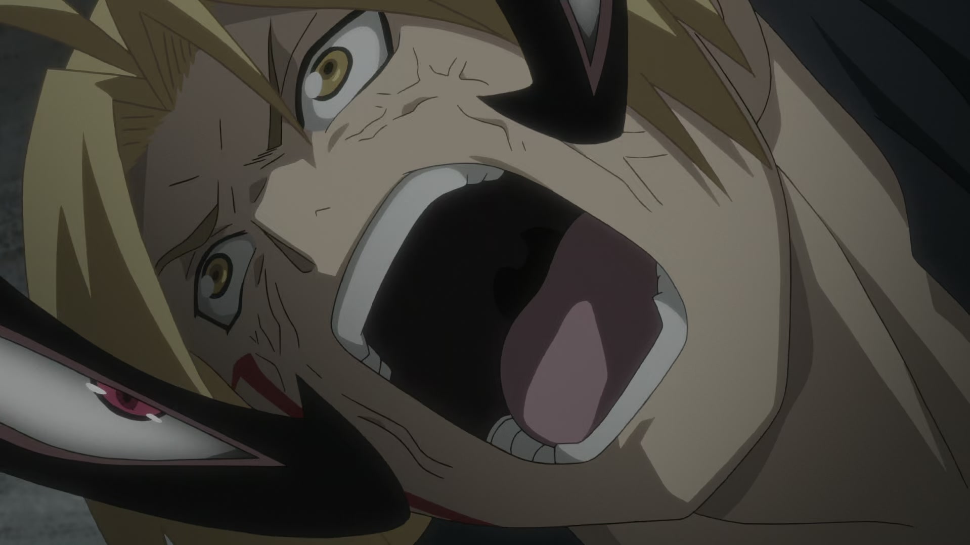 Fullmetal Alchemist: Brotherhood Ep 61: He Who Would Swallow God @ 00:19:46
