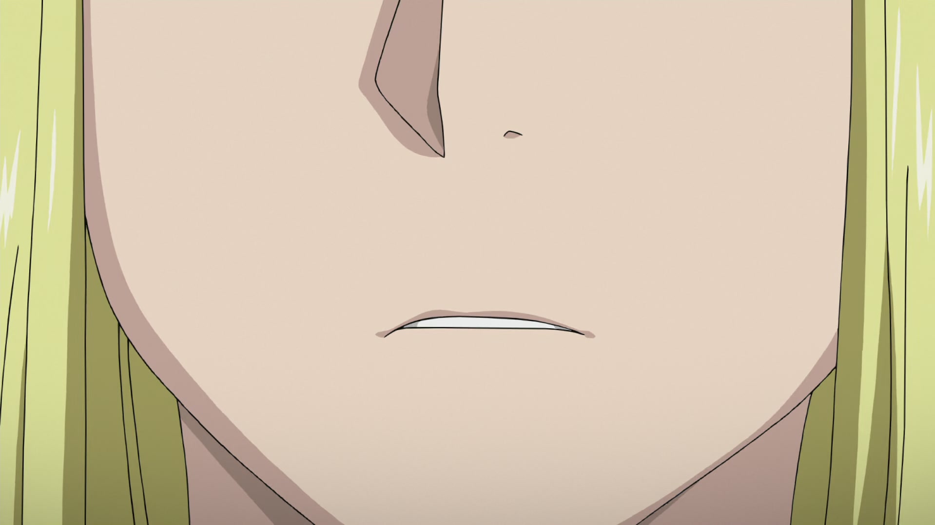 Fullmetal Alchemist: Brotherhood Ep 64: Journey's End @ 00:20:17