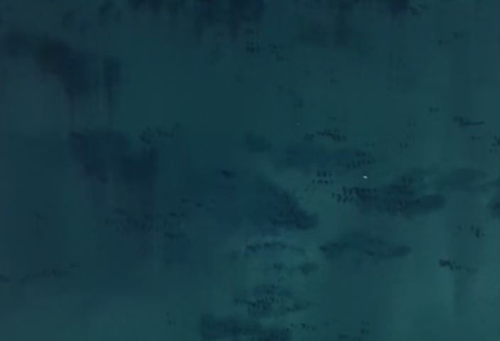 Hunter x Hunter Ep 5: Hisoka × Is × Merciless @ 00:15:21