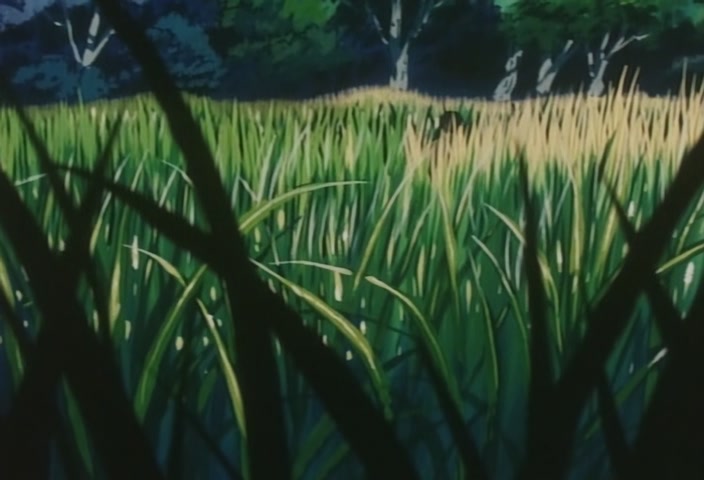 Hunter x Hunter Ep 21: A × Dangerous × Man @ 00:13:42