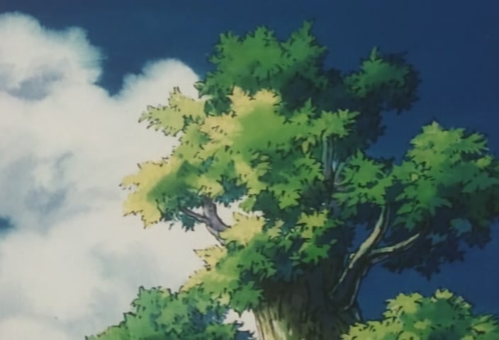Hunter x Hunter Ep 47: The × Auction × Begins @ 00:21:30