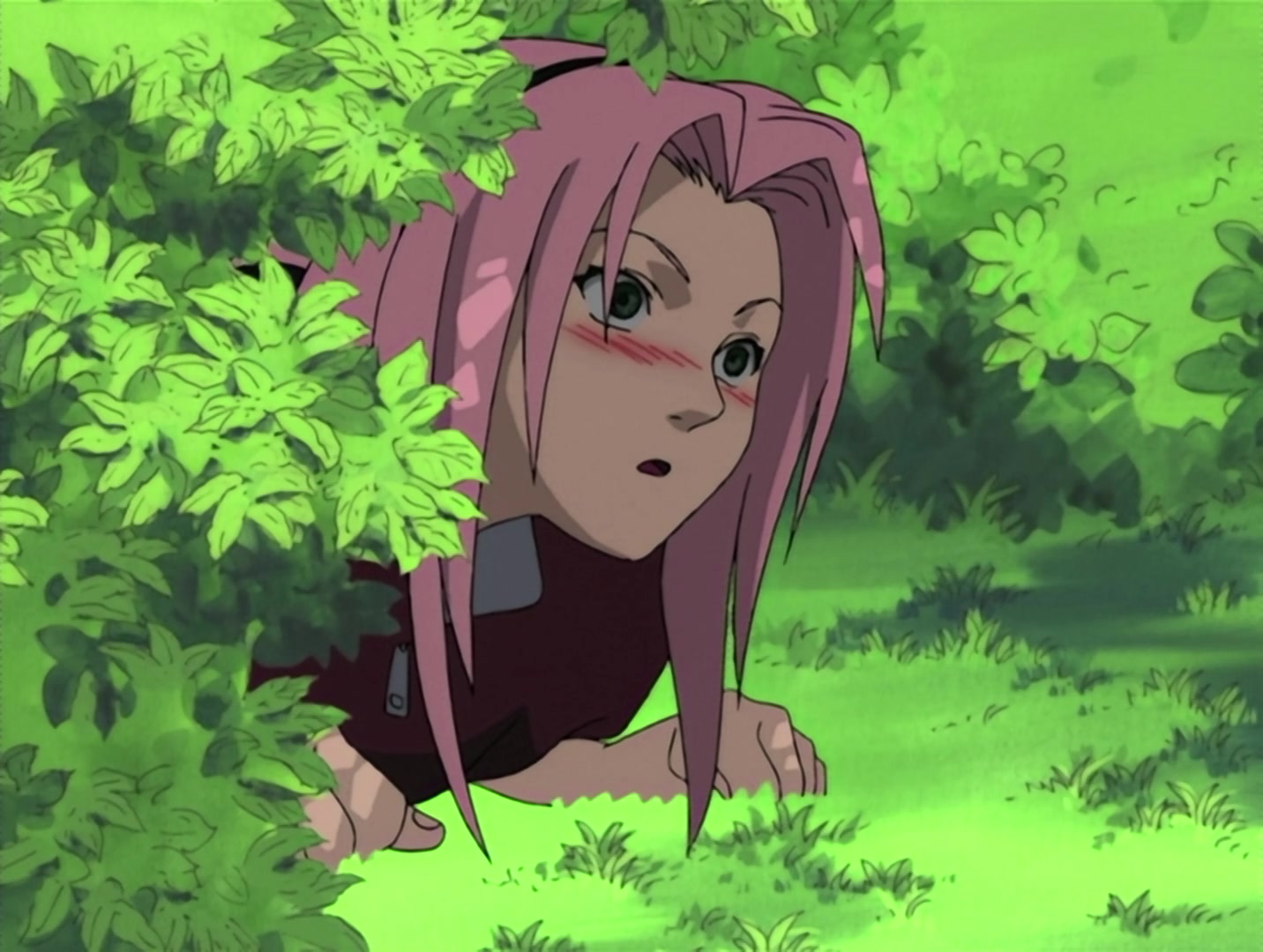 Naruto — Ep 4: Pass or Fail: Survival Test @ 17:56