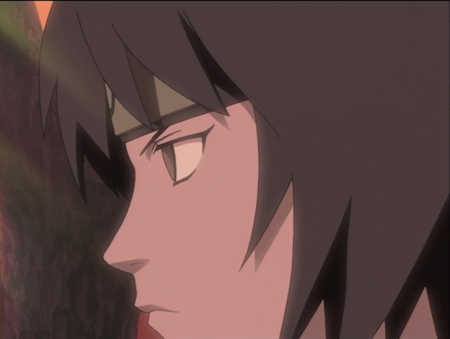 Naruto Ep 30: The Sharingan Revived: Dragon-Flame Jutsu! @ 05:21