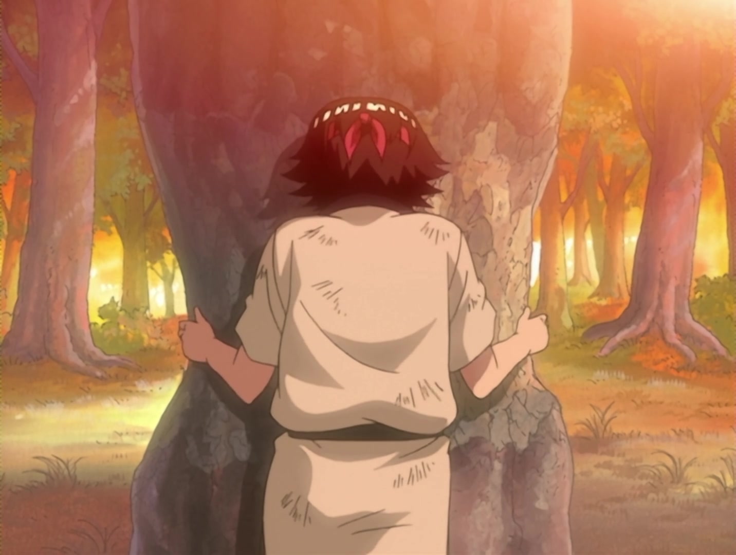Naruto Ep 49: Lee's Hidden Strength: Forbidden Secret Jutsu! @ 12:45