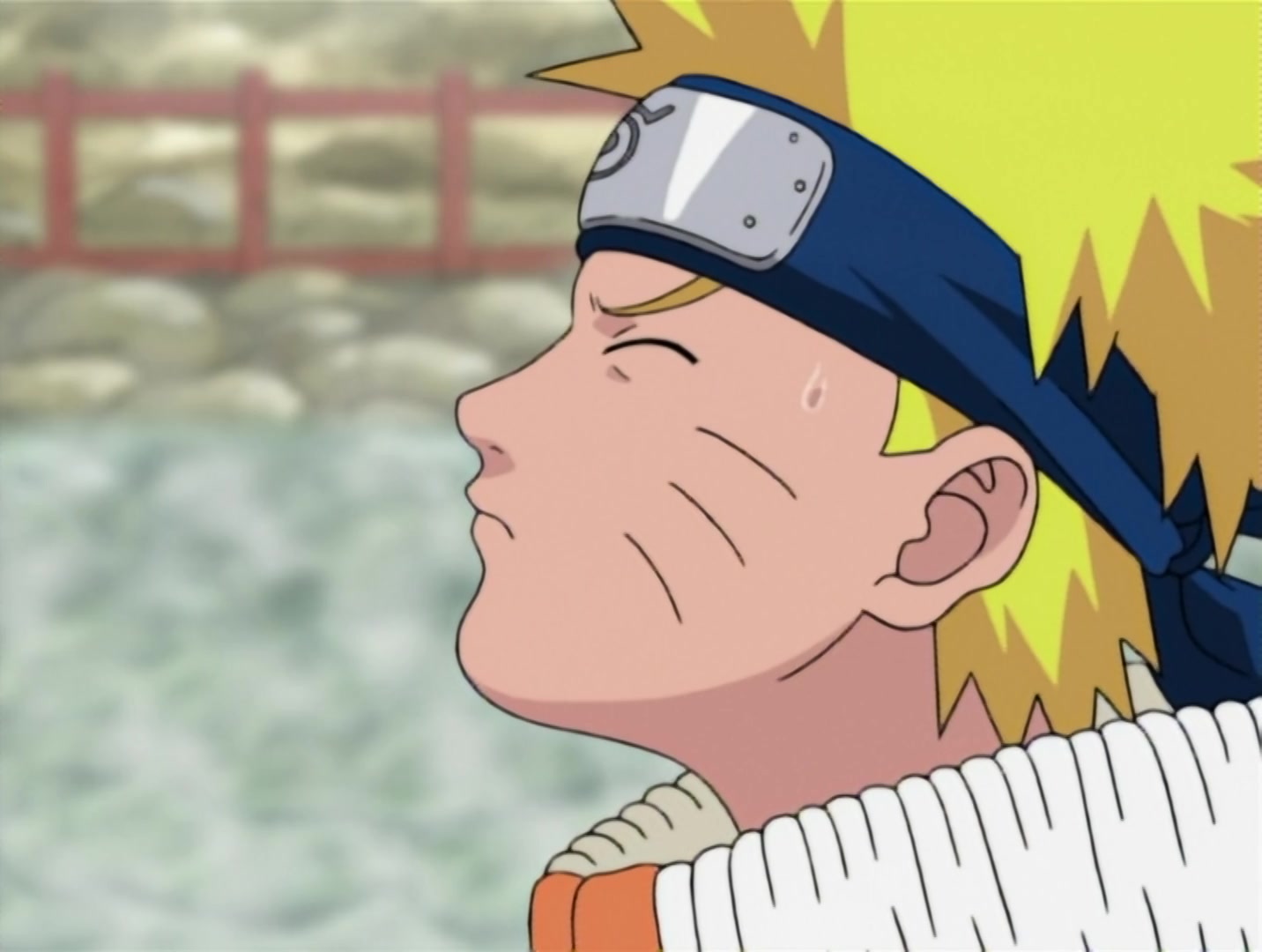Naruto Ep 52: The Summoning Jutsu: Wisdom of the Toad Sage! @ 17:12