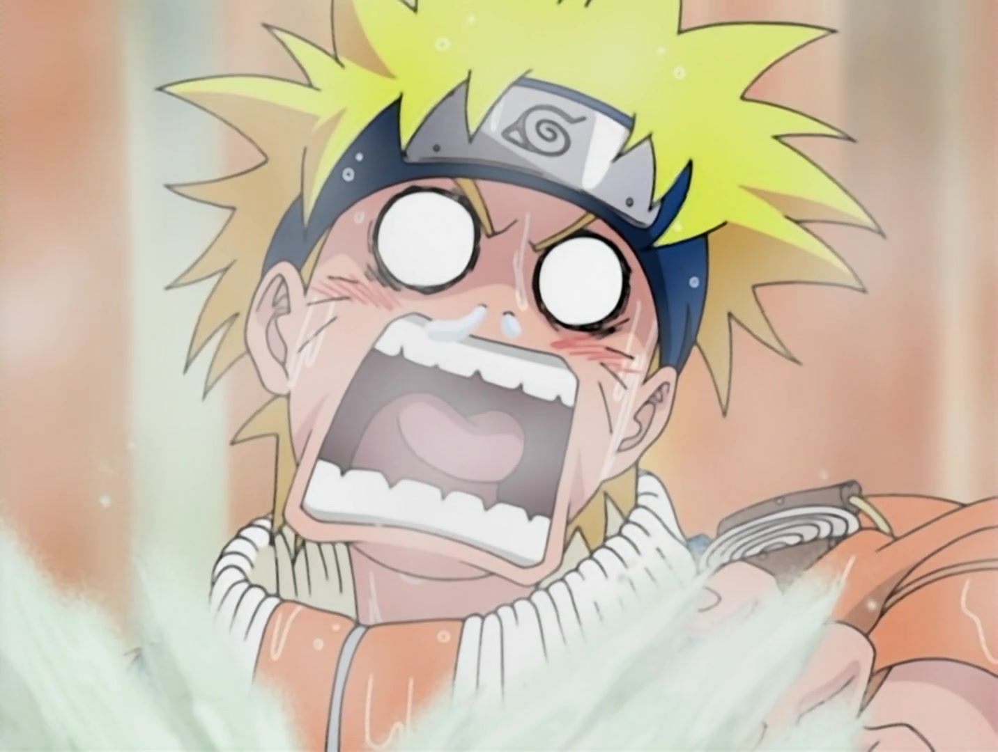 Naruto Ep 52: The Summoning Jutsu: Wisdom of the Toad Sage! @ 18:26