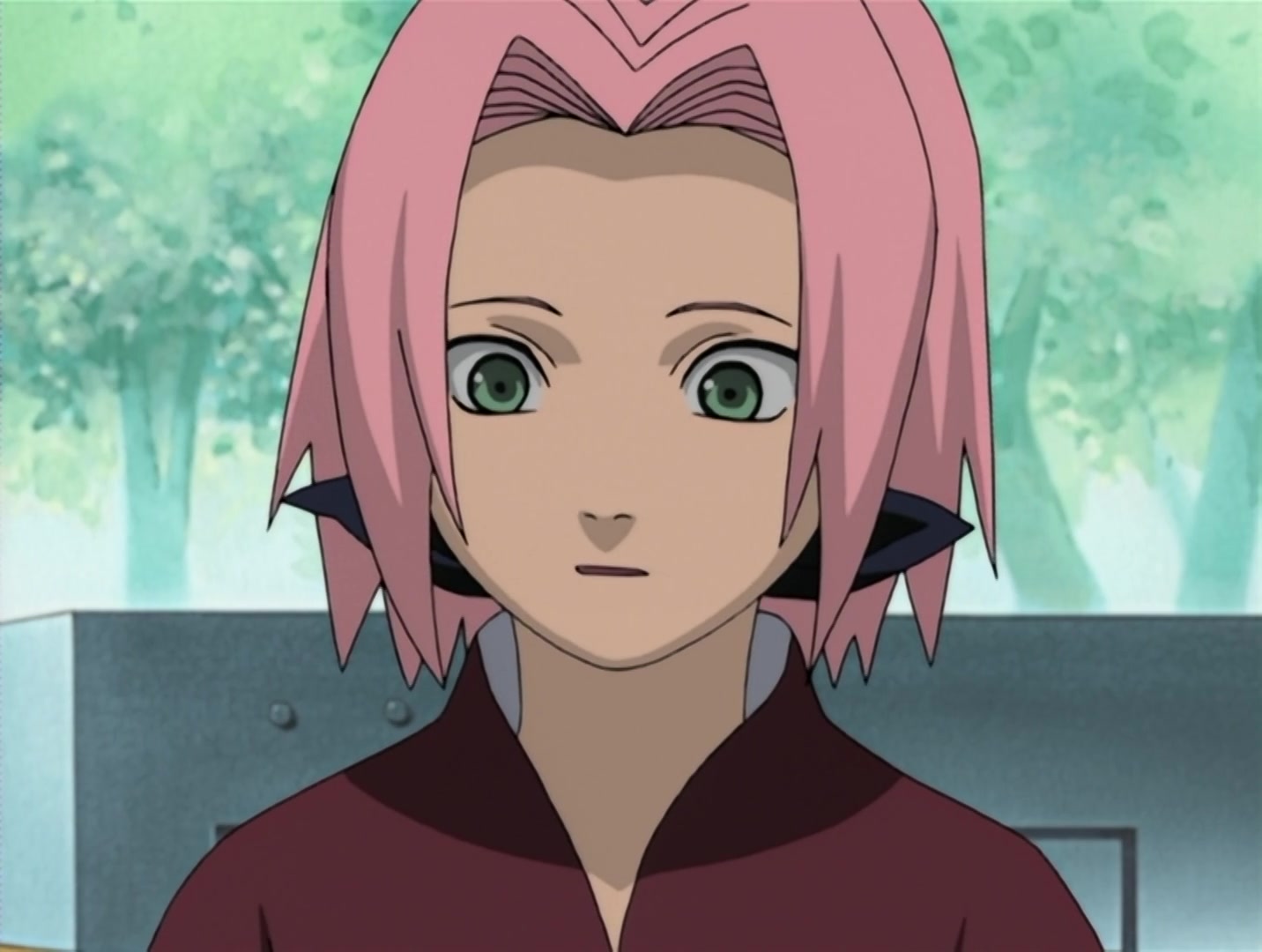 Naruto Ep 102: Mission: Help an Old Friend in the Land of Tea @ 08:38