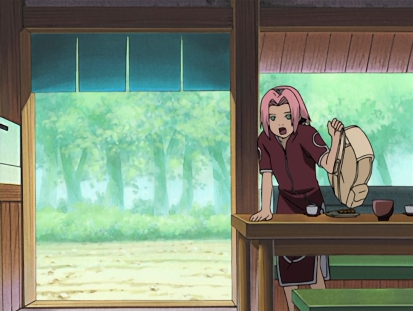 Naruto Ep 102: Mission: Help an Old Friend in the Land of Tea @ 09:03