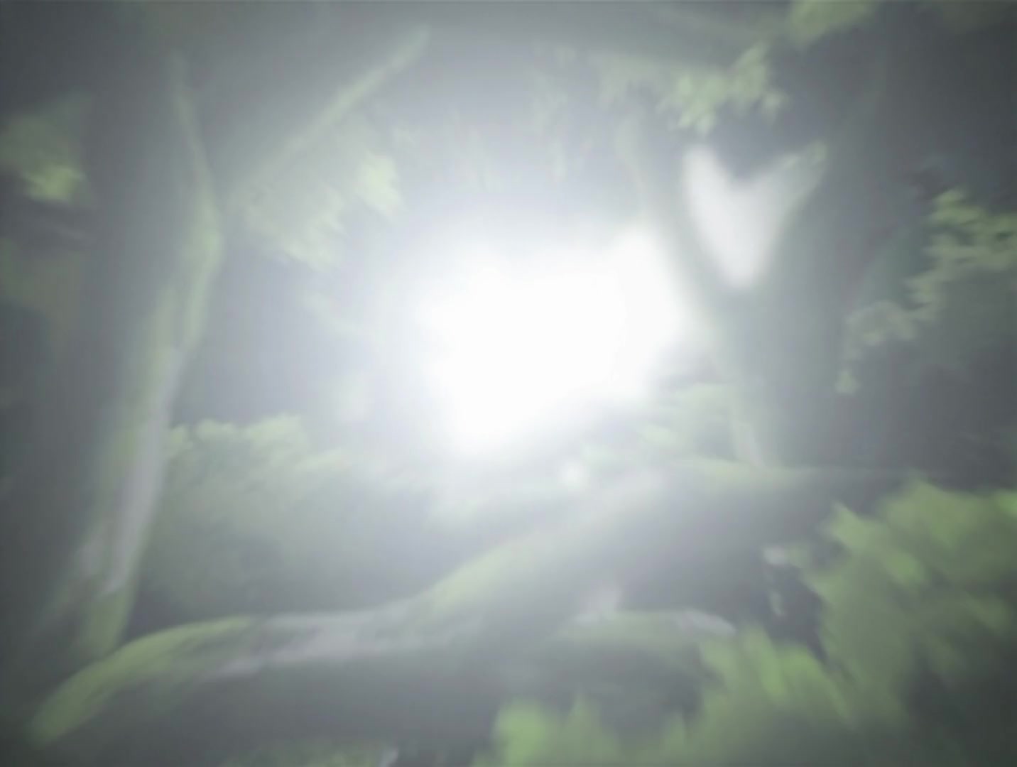 Naruto Ep 118: The Vessel Arrives Too Late @ 16:02