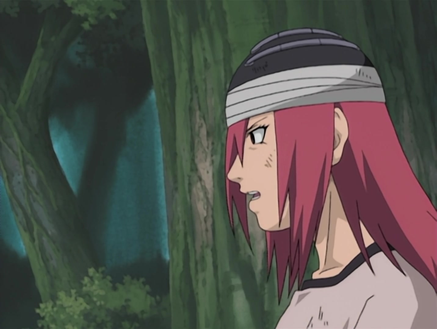Naruto Ep 118: The Vessel Arrives Too Late @ 18:13