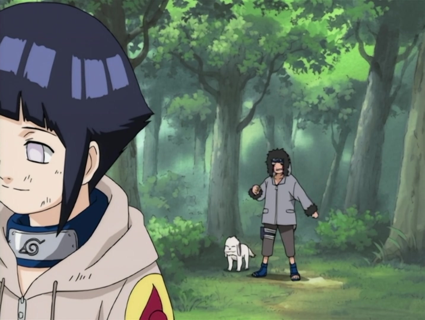 Naruto Ep 148: Search for the Rare Bikochu Beetle @ 06:43