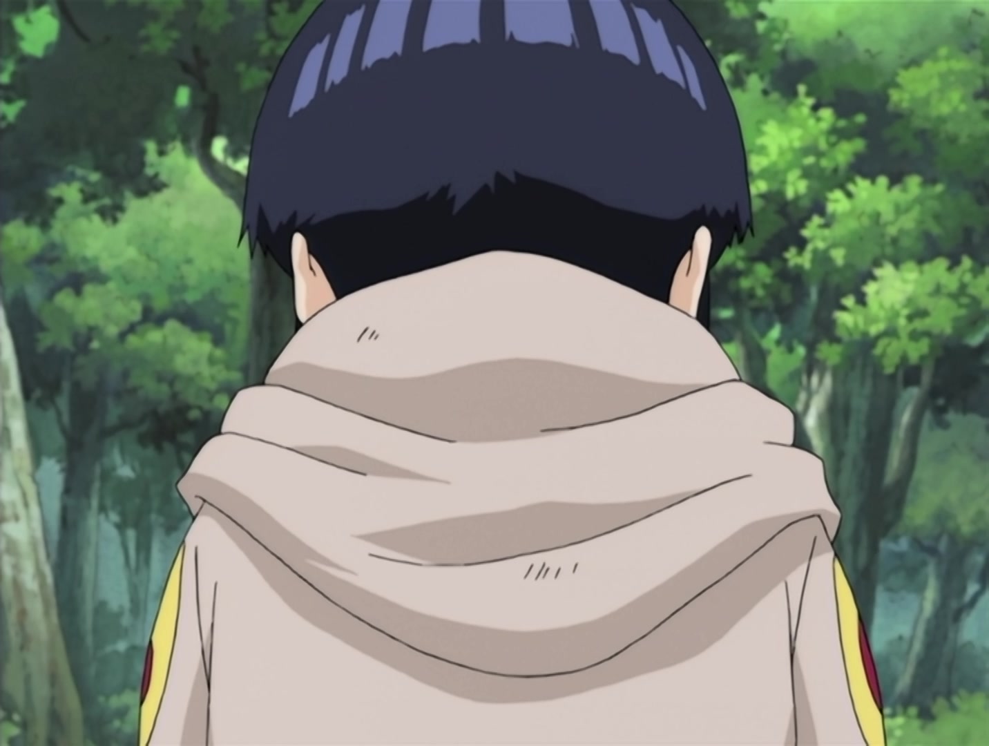 Naruto Ep 148: Search for the Rare Bikochu Beetle @ 07:12