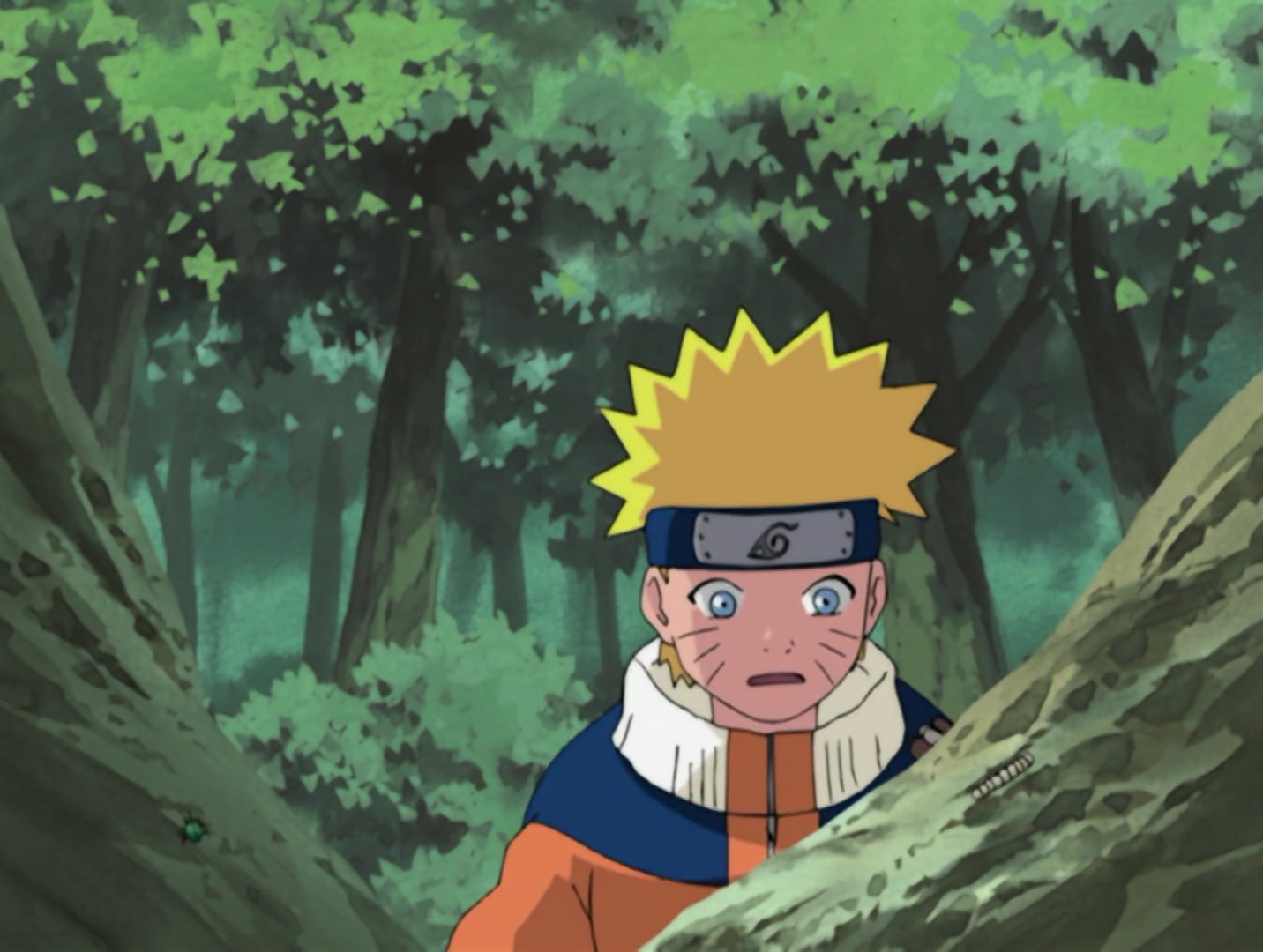 Naruto Ep 149: What's the Difference? Don't All Insects Look Alike? @ 05:46