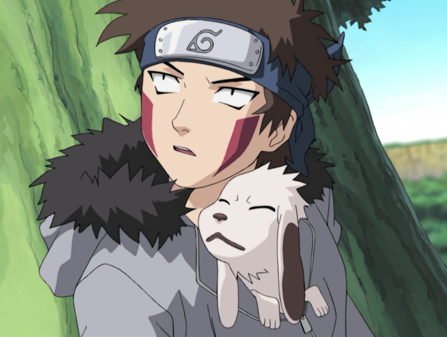 Naruto Ep 149: What's the Difference? Don't All Insects Look Alike? @ 12:40