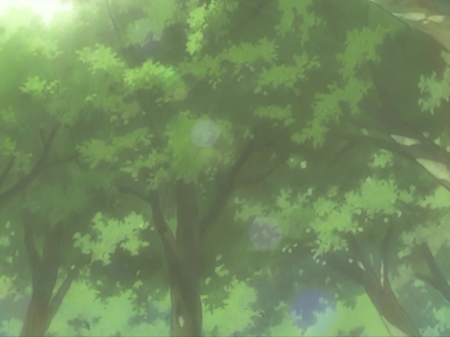 Naruto Ep 167: When Egrets Flap Their Wings @ 05:39