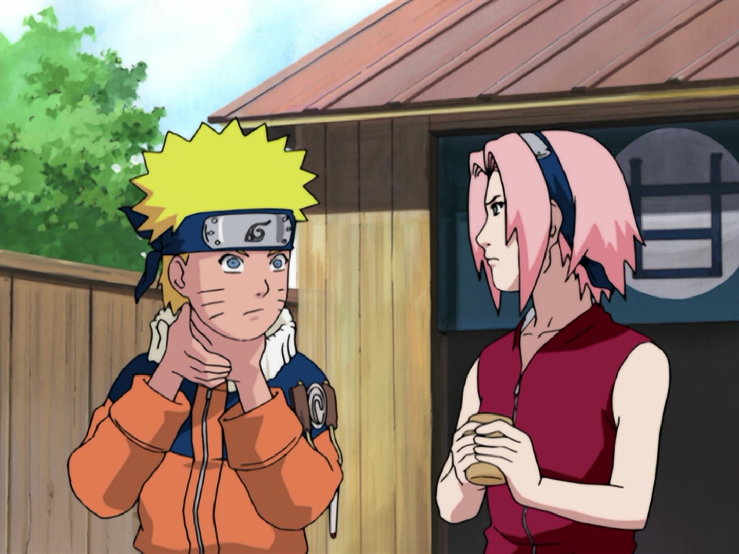 Naruto Ep 178: Encounter! The Boy with a Star's Name @ 05:17