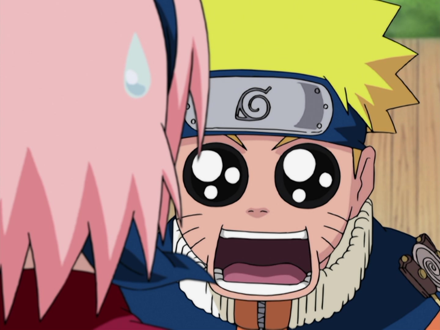Naruto Ep 185: A Legend from the Hidden Leaf: The Onbaa! @ 04:06