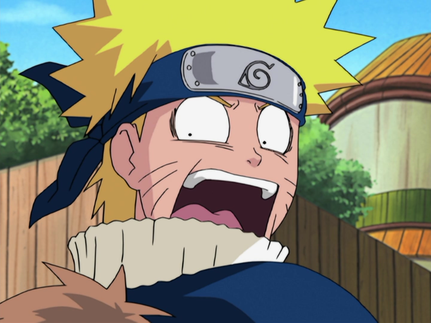 Naruto Ep 185: A Legend from the Hidden Leaf: The Onbaa! @ 04:56