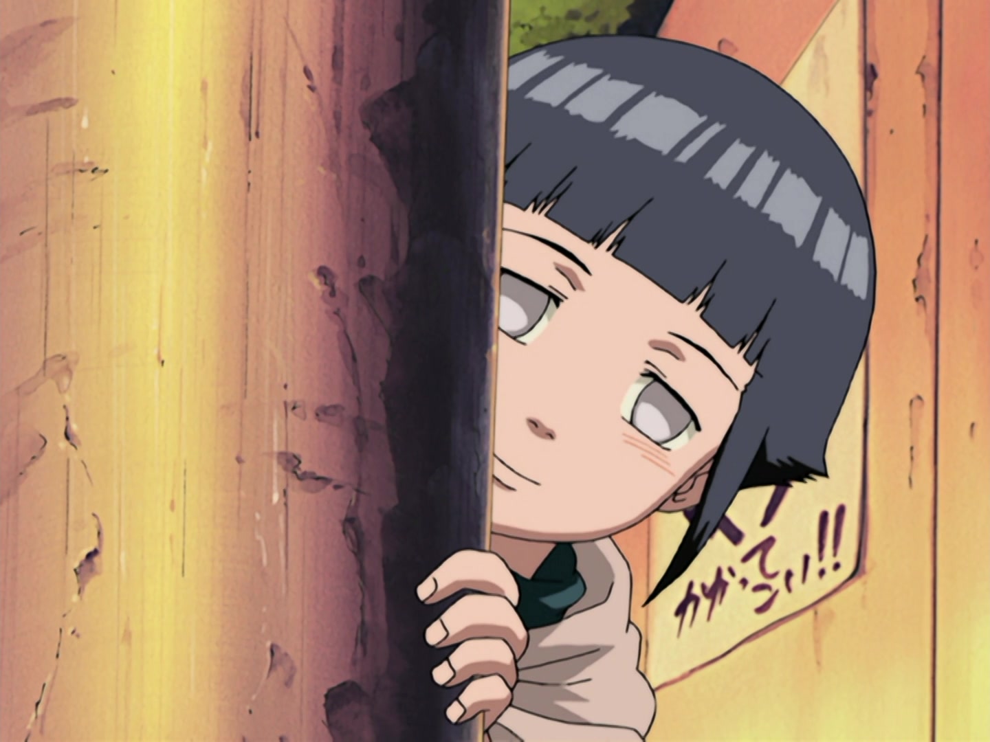 Naruto Ep 185: A Legend from the Hidden Leaf: The Onbaa! @ 09:13
