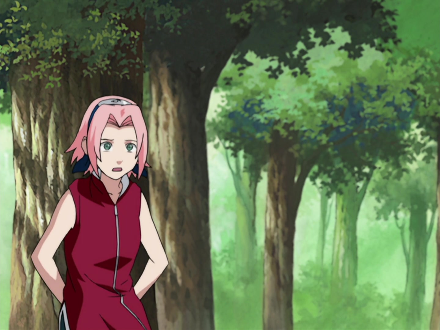 Naruto Ep 203: Kurenai's Decision, Squad 8 Left Behind @ 12:26