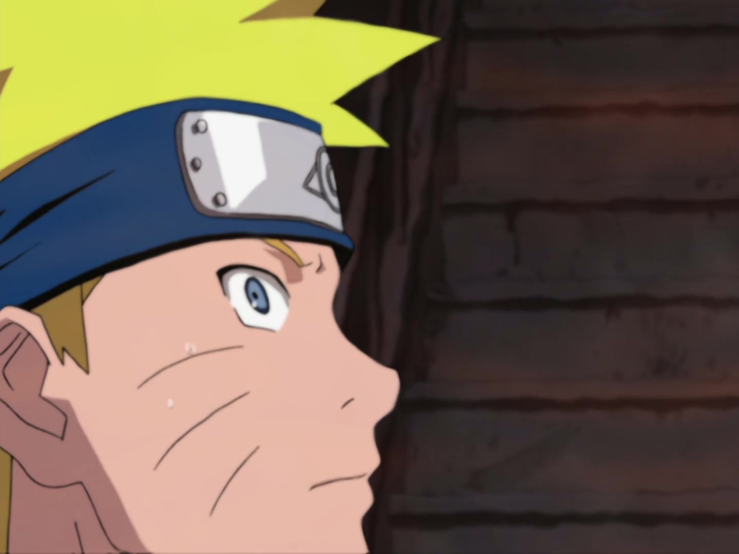 Naruto Ep 206: Genjutsu or Reality @ 13:09