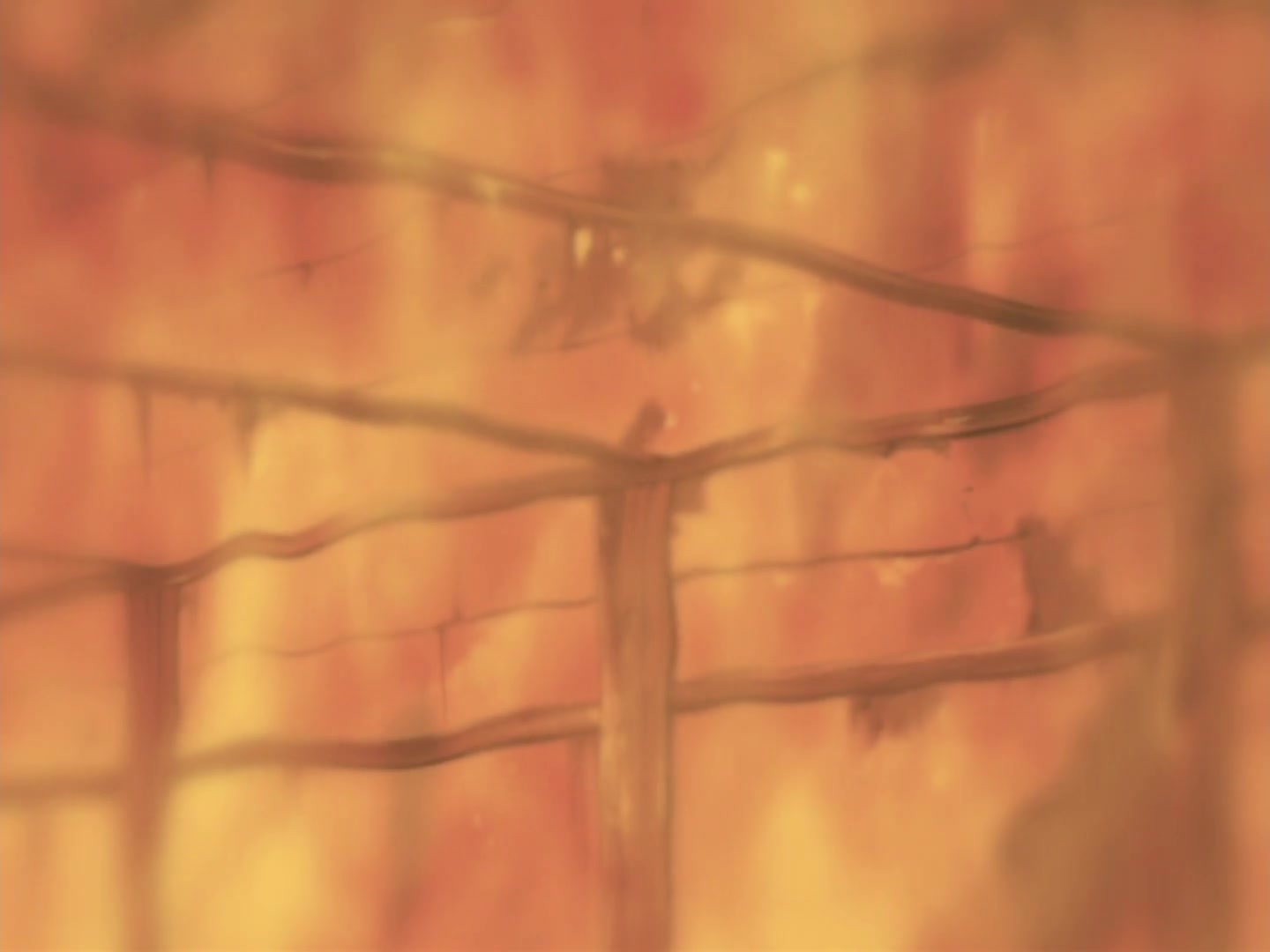 Naruto Ep 207: The Supposed Sealed Ability @ 06:22