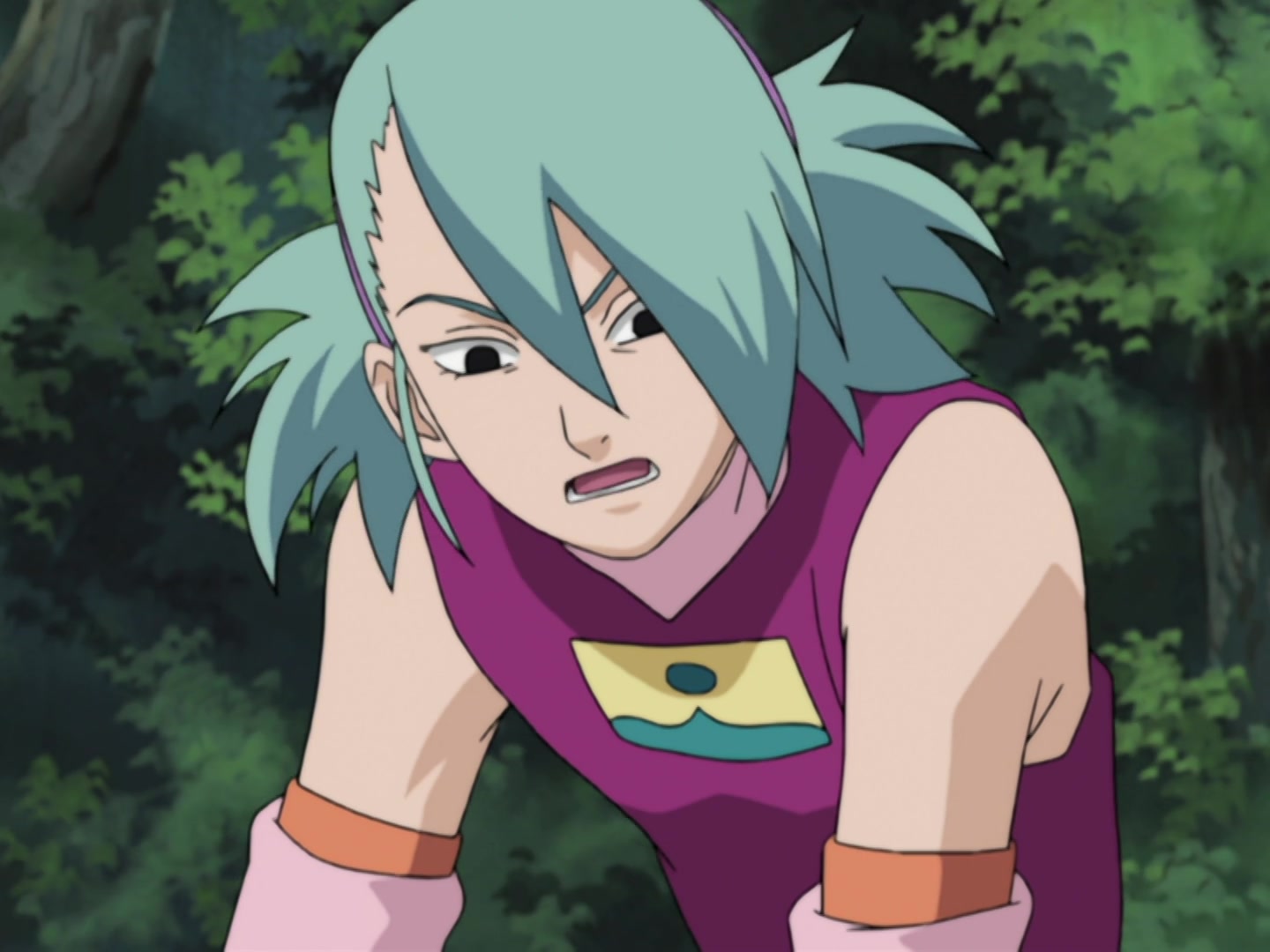 Naruto Ep 211: Memory of Flames @ 17:55