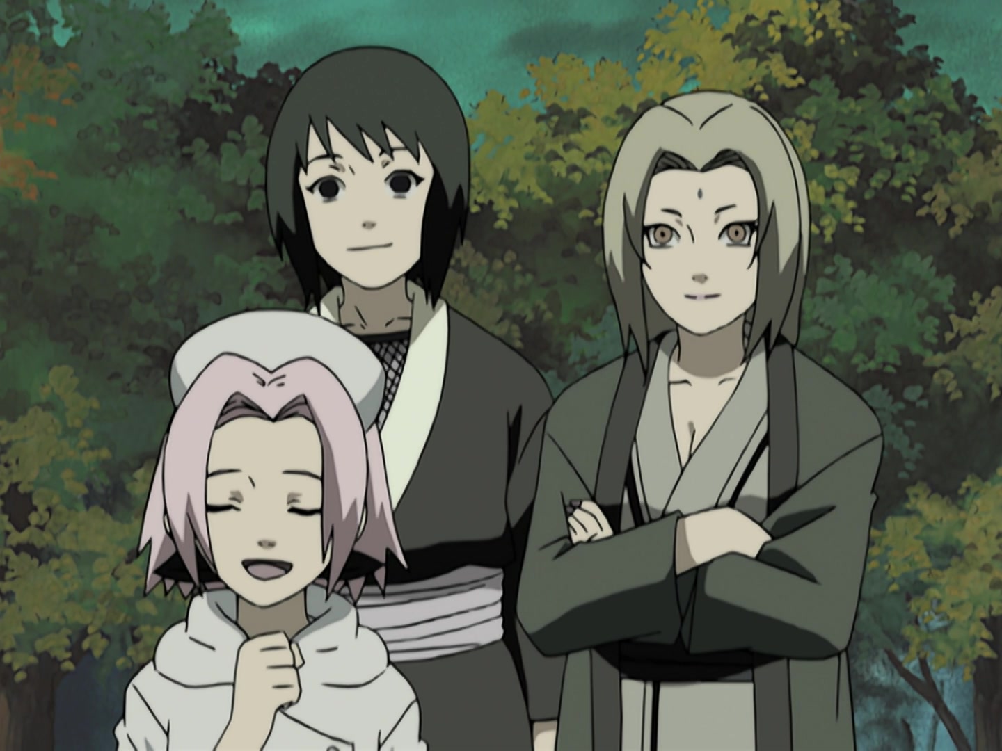 Naruto Ep 213: Vanished Memories @ 11:36