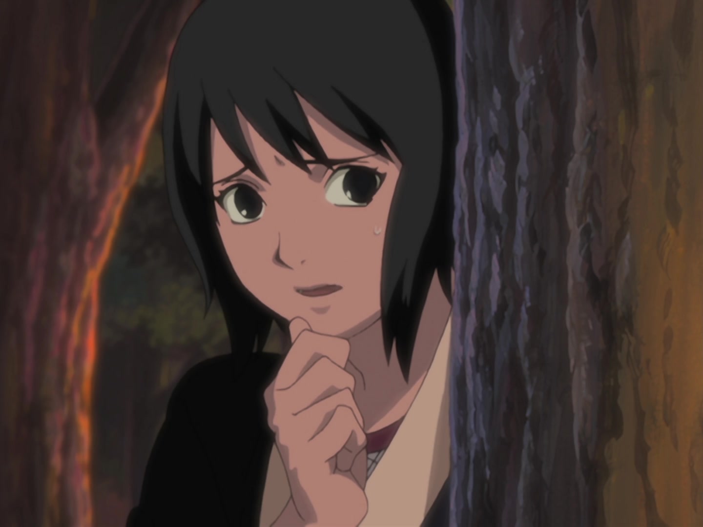 Naruto Ep 215: A Past to Be Erased @ 20:32