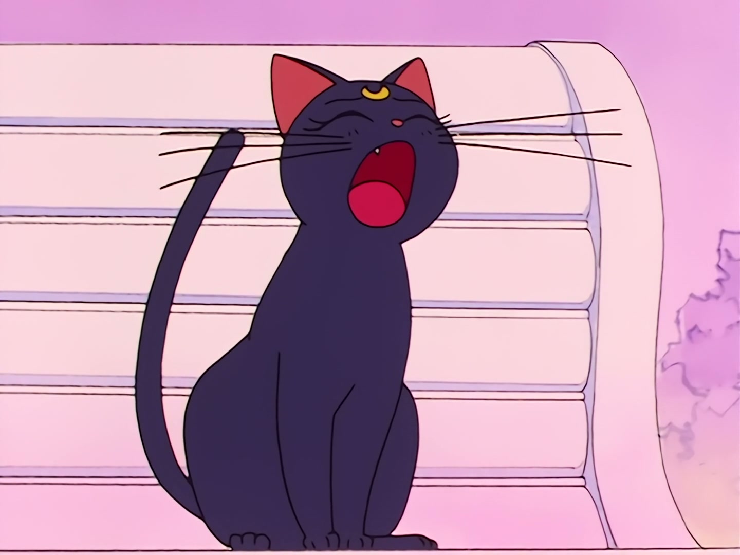 Sailor Moon Ep 12: I Want a Boyfriend Too! A Trap on a Luxury Cruise Ship @ 00:06:41
