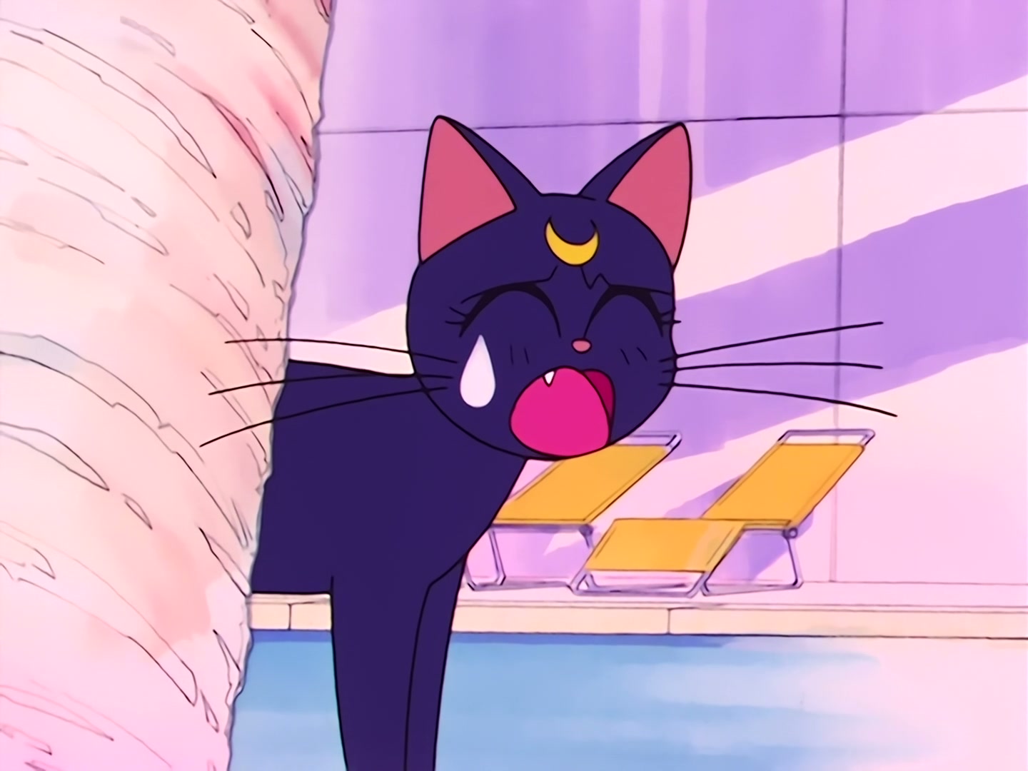 Sailor Moon Ep 17: Is Usagi a Model? The Focus of the Monster Camera @ 00:14:47