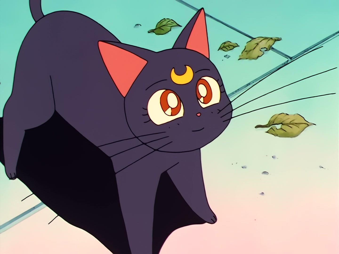 Sailor Moon Ep 32: Umino's Resolve! I'll Protect Naru @ 00:04:40