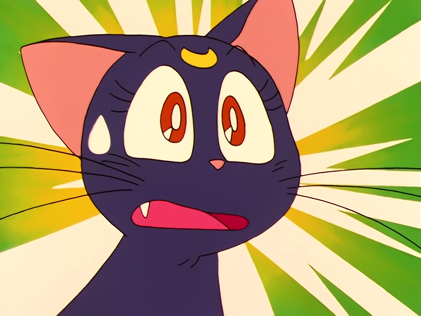 Sailor Moon Ep 33: The Last Sailor Guardian! Sailor Venus Appears @ 00:05:32