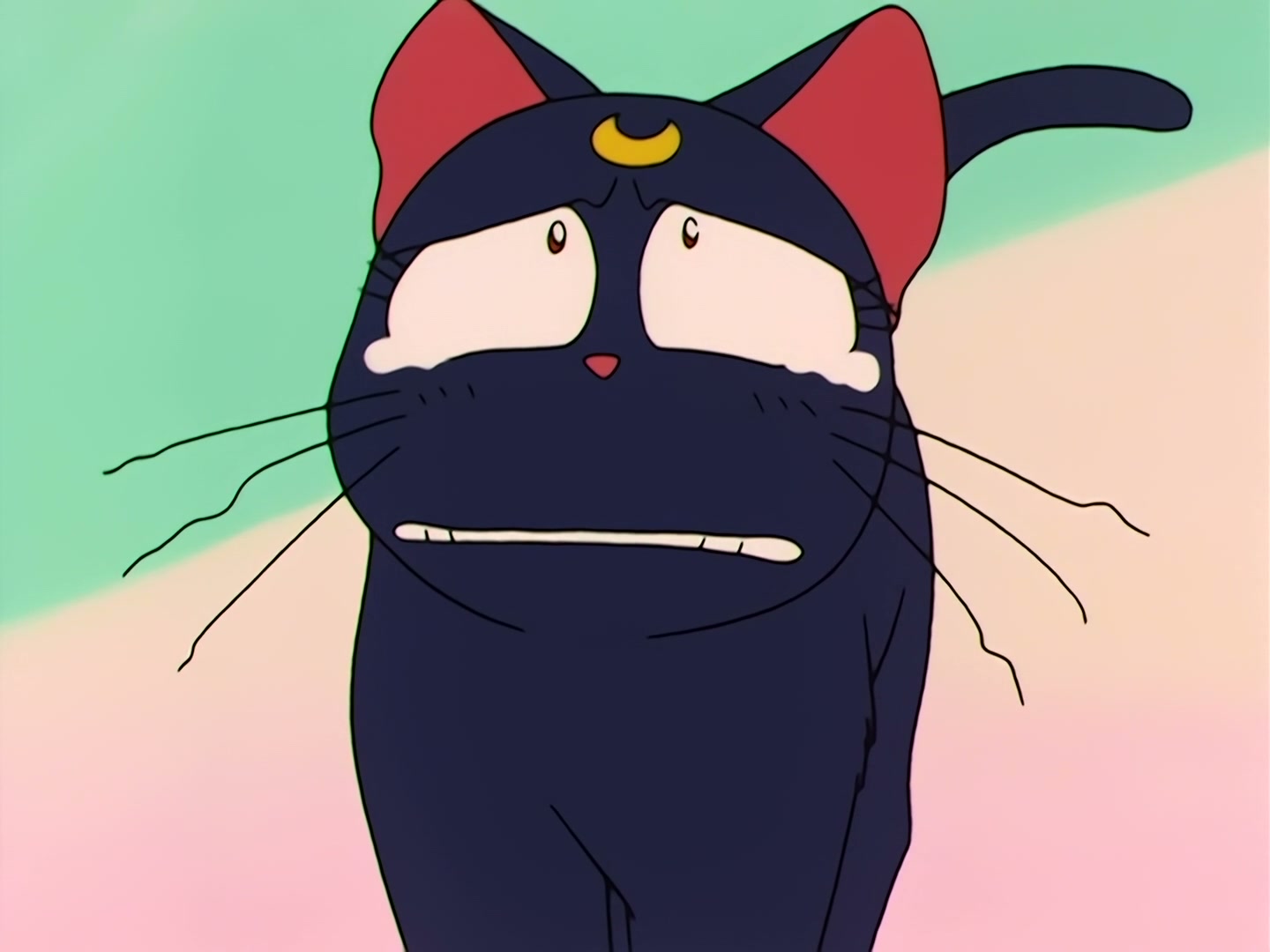 Sailor Moon Ep 40: The Legendary Lake Monster! Usagi's Family Ties @ 00:02:34