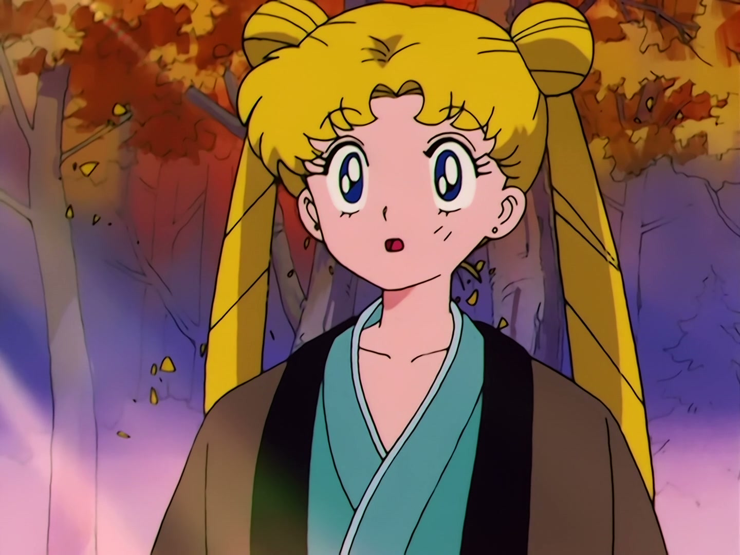 Sailor Moon Ep 40: The Legendary Lake Monster! Usagi's Family Ties @ 00:07:25