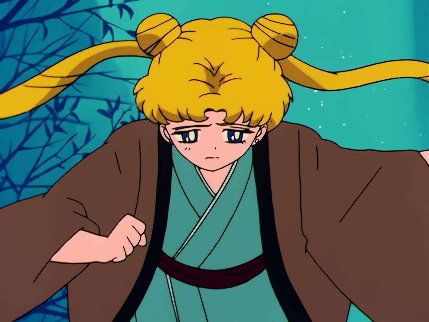 Sailor Moon Ep 40: The Legendary Lake Monster! Usagi's Family Ties @ 00:13:20