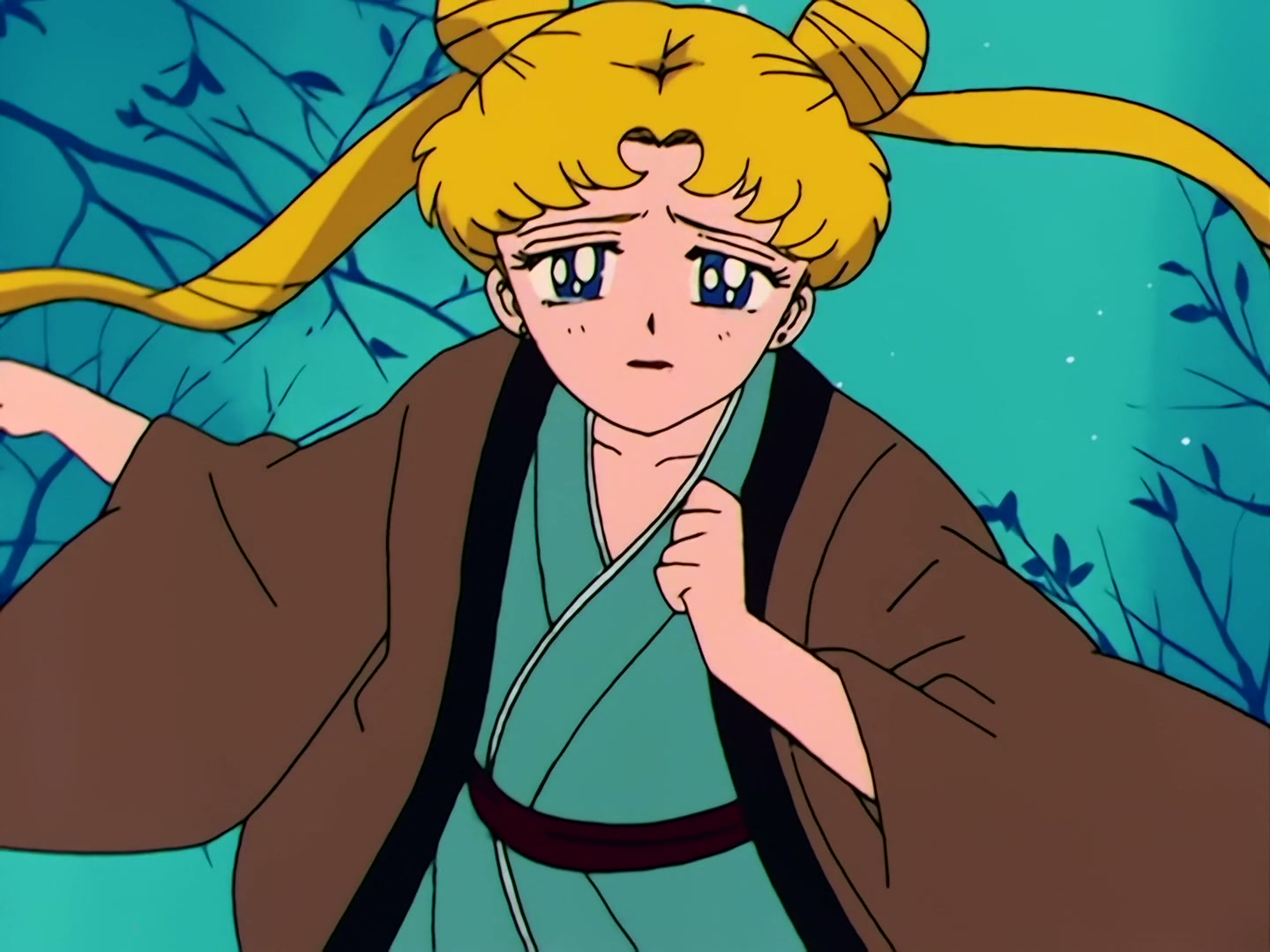 Sailor Moon Ep 40: The Legendary Lake Monster! Usagi's Family Ties @ 00:13:24