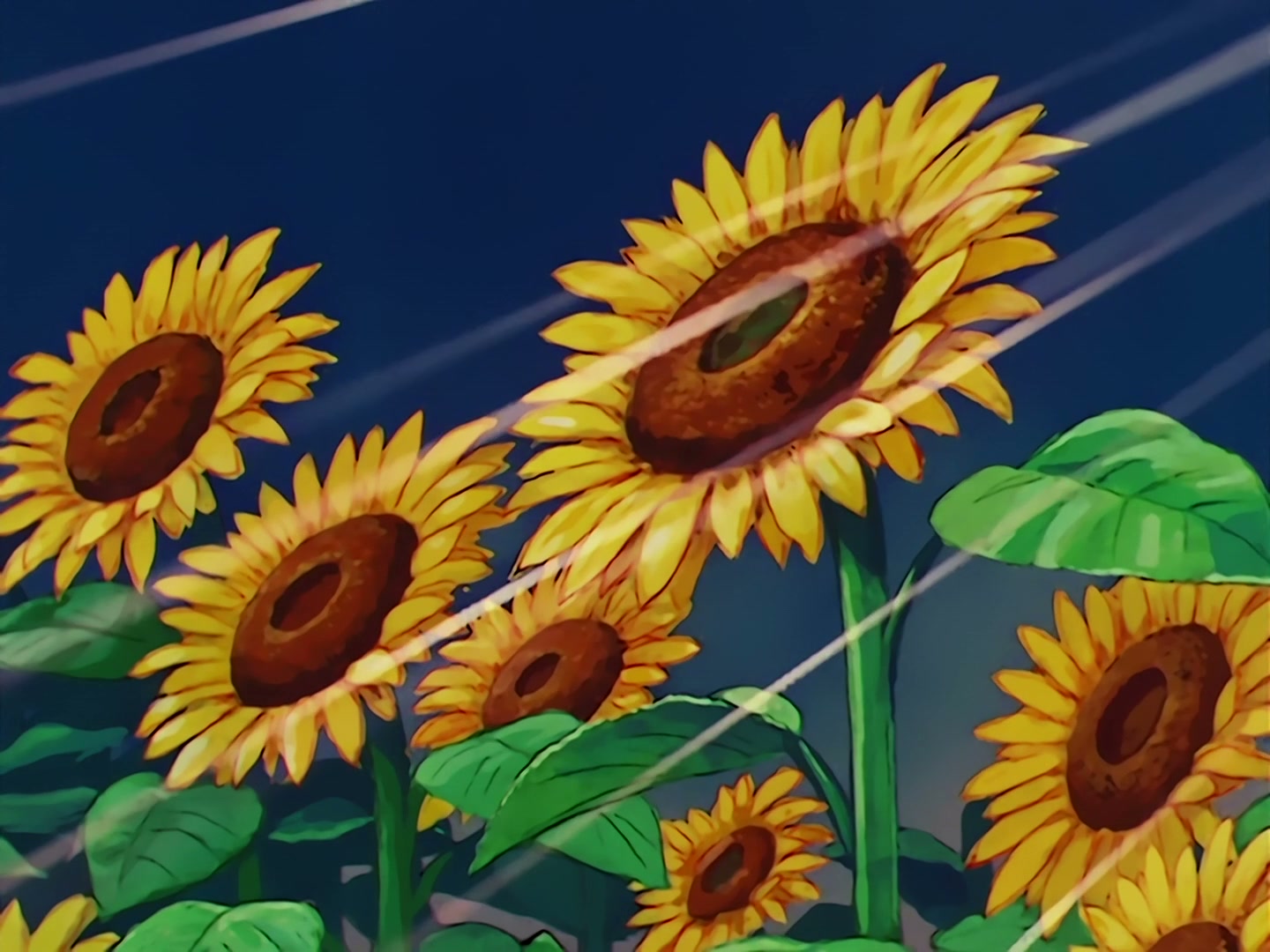 Sailor Moon Ep 65: Dispute Over Love! Minako and Makoto Face Off @ 00:02:00