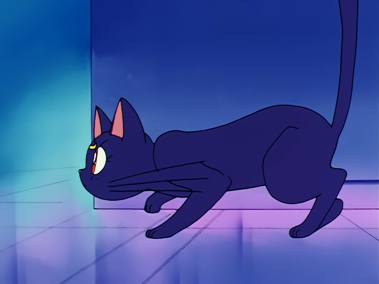 Sailor Moon Ep 69: Awaken, Sleeping Beauty! Mamoru's Distress @ 00:08:38