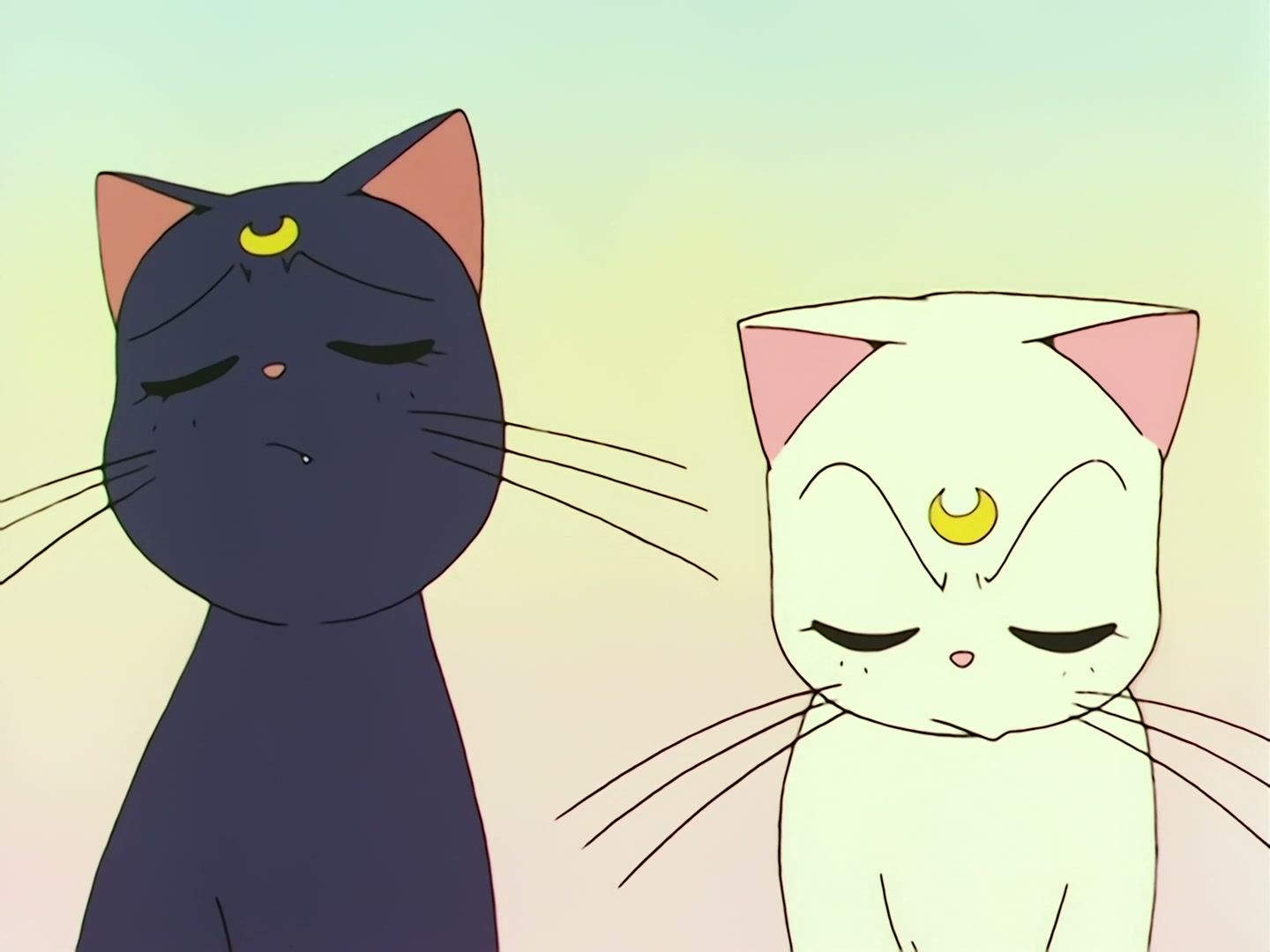 Sailor Moon Ep 74: Defeat Rubeus! The Battle in Space @ 00:08:38