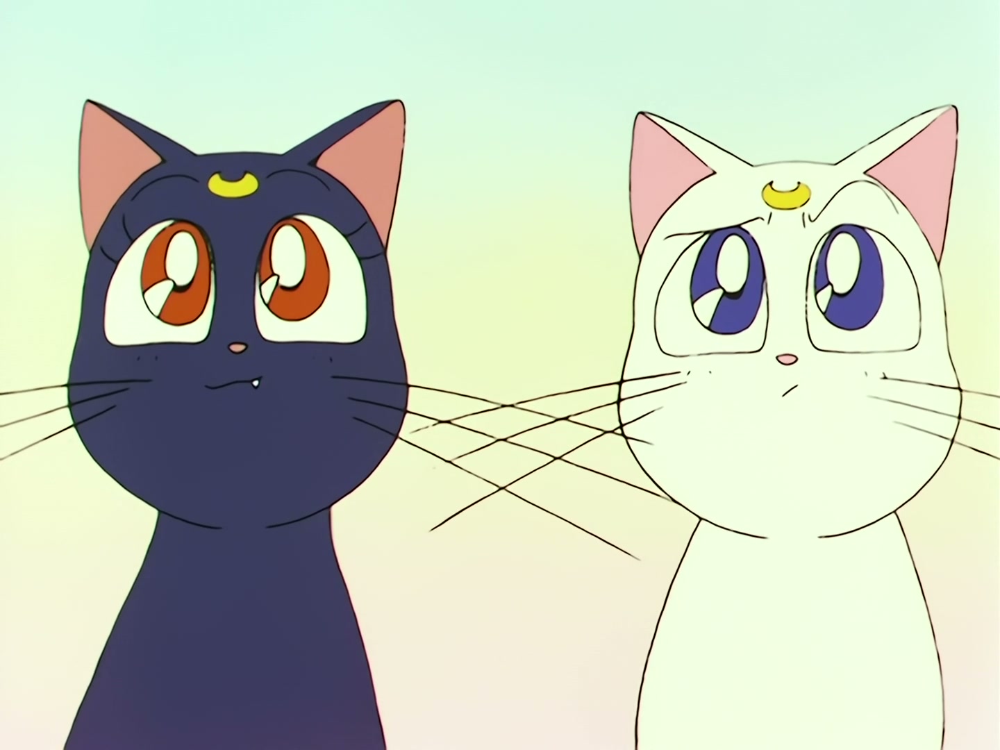 Sailor Moon Ep 74: Defeat Rubeus! The Battle in Space @ 00:08:47