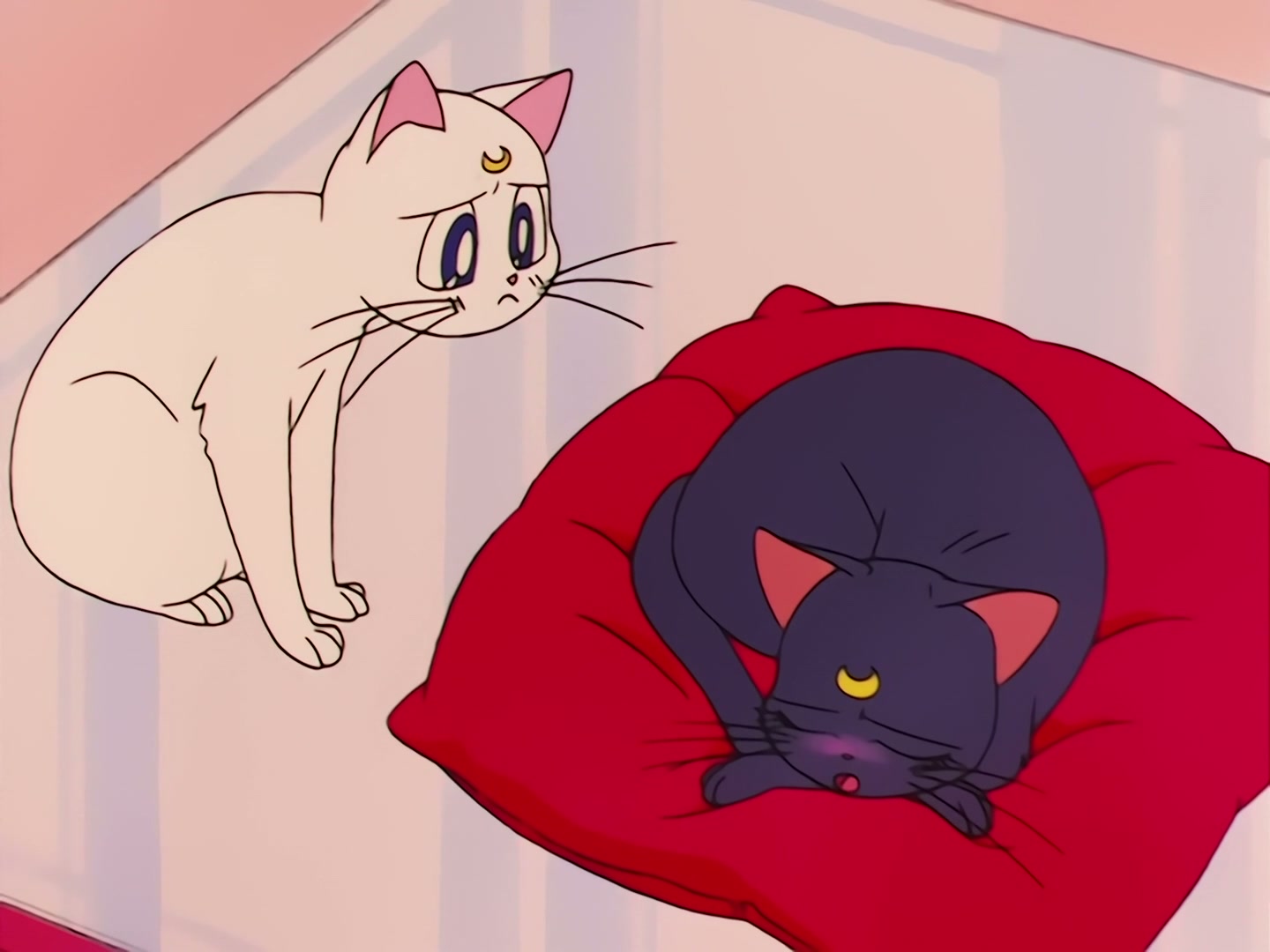 Sailor Moon Ep 78: Venus Minako's Nurse Mayhem @ 00:08:51