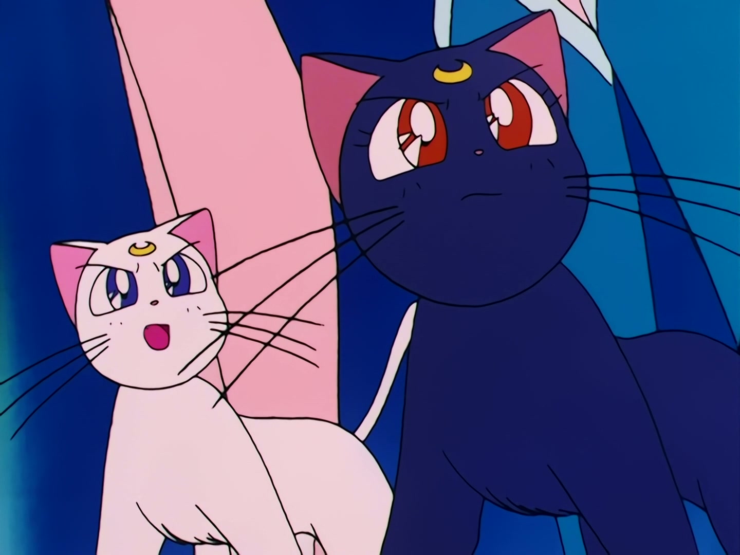 Sailor Moon Ep 84: Wiseman's Evil Hand! Chibi-Usa Disappears @ 00:06:02