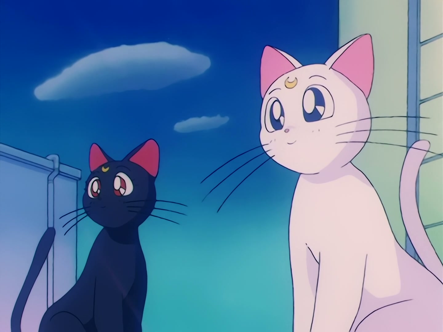 Sailor Moon Ep 88: The Final Battle Between Light and Dark! Pledge of Love to the Future @ 00:19:33