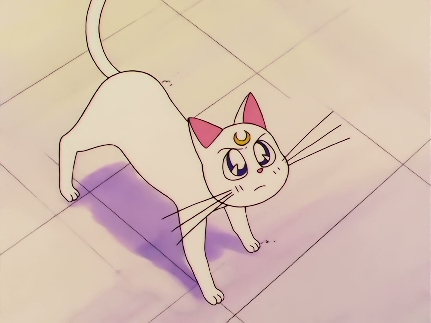 Sailor Moon Ep 100: I Want to Quit Being a Sailor Guardian: Minako's Dilemma @ 00:02:52