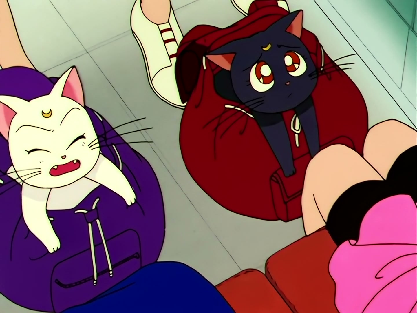 Sailor Moon Ep 105: I Want Power: Mako Lost in Doubt @ 00:05:28