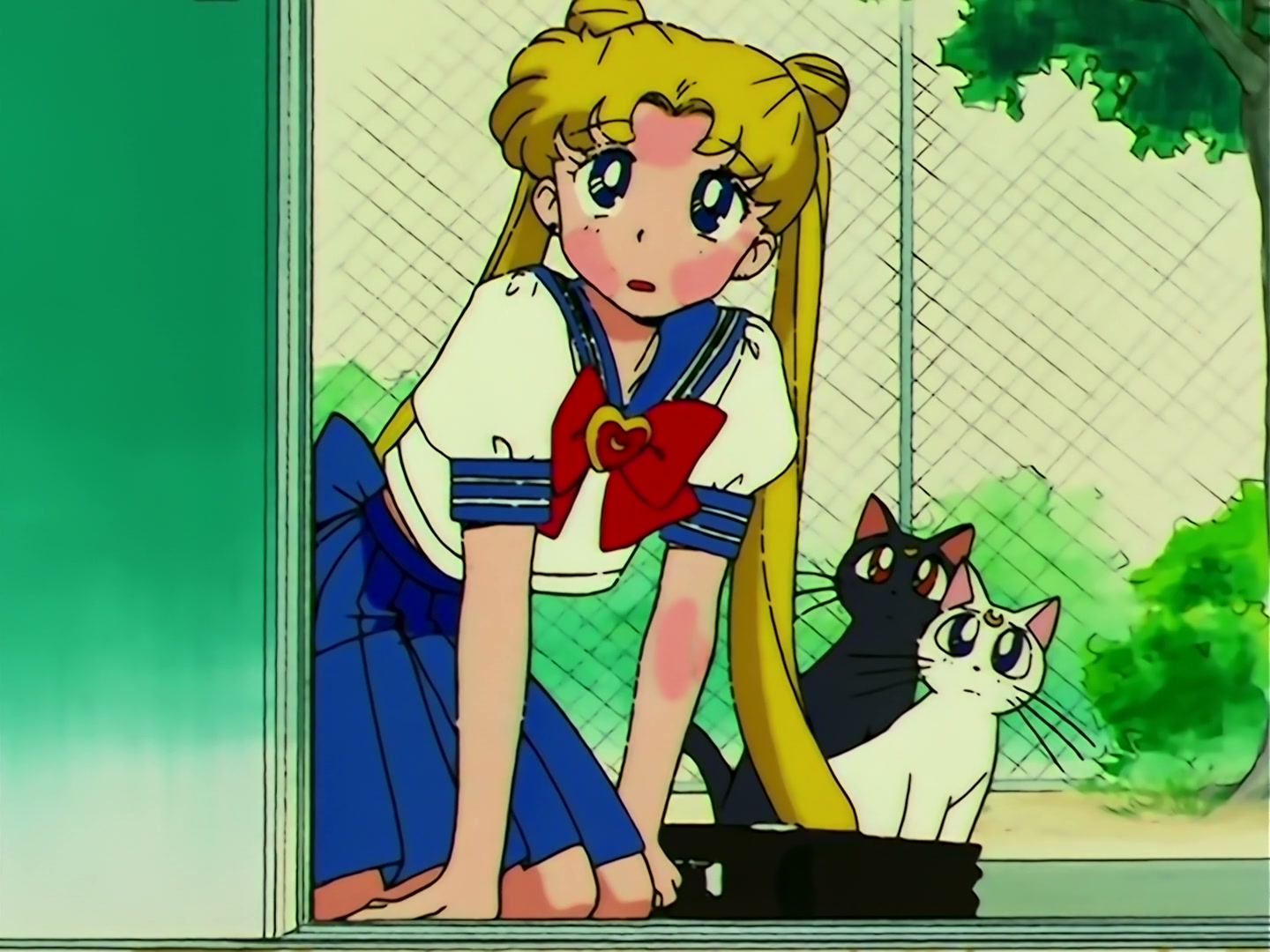 Sailor Moon Ep 109: The Shocking Moment: Everyone's Identities Revealed @ 00:06:24