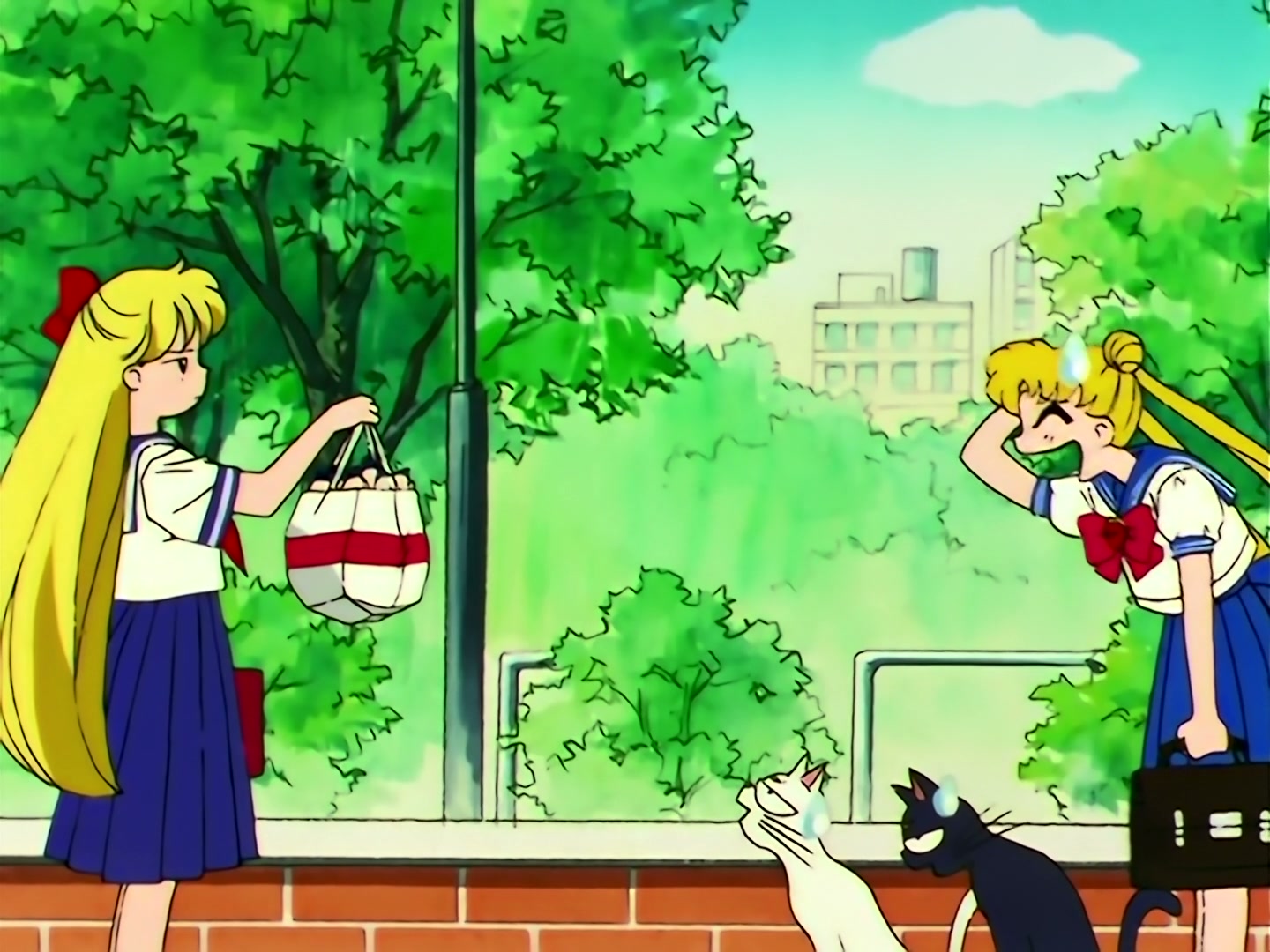 Sailor Moon Ep 109: The Shocking Moment: Everyone's Identities Revealed @ 00:08:21