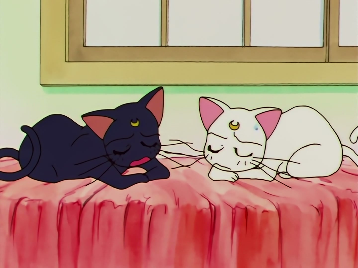 Sailor Moon Ep 112: Who is the True Messiah? Chaos of Light and Darkness @ 00:08:34